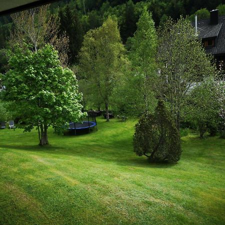 B1 Albmatte-Fewo Sauna, Hallenbad Aussenbecken Massagen Nebenan Menzenschwand Luaran gambar
