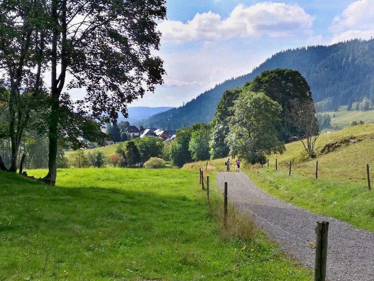 B1 Albmatte-Fewo Sauna, Hallenbad Aussenbecken Massagen Nebenan Menzenschwand Luaran gambar