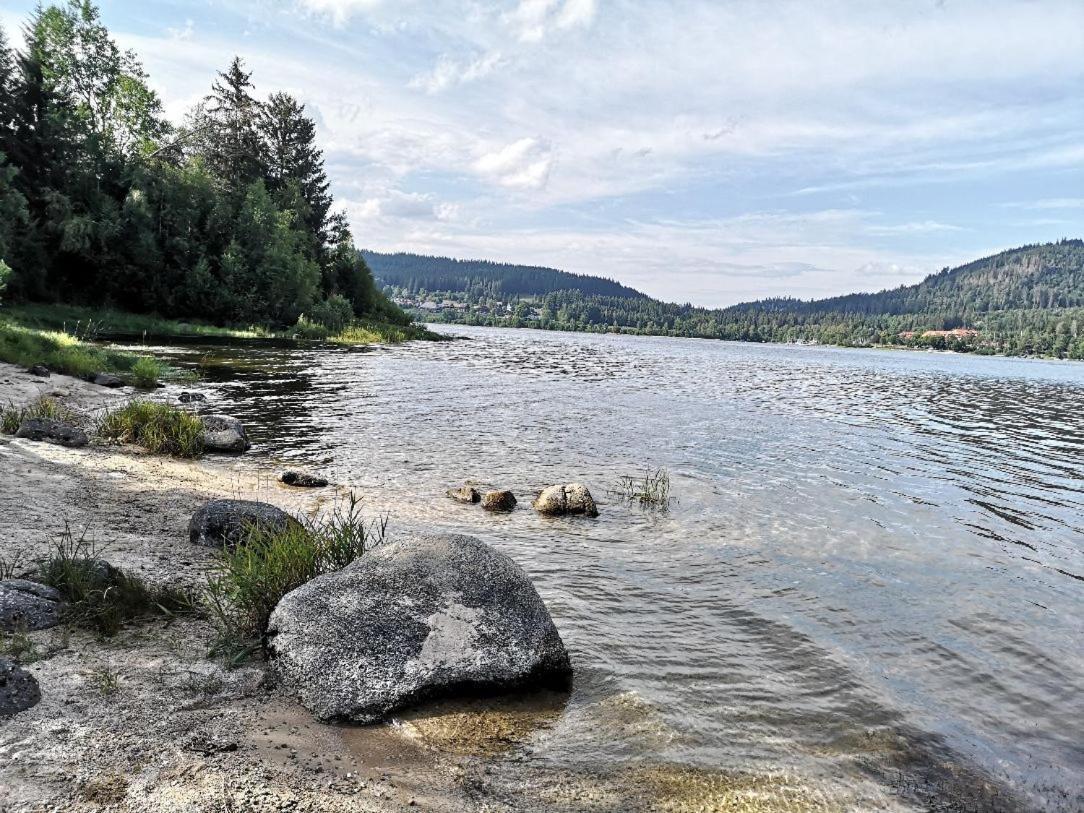 B1 Albmatte-Fewo Sauna, Hallenbad Aussenbecken Massagen Nebenan Menzenschwand Luaran gambar