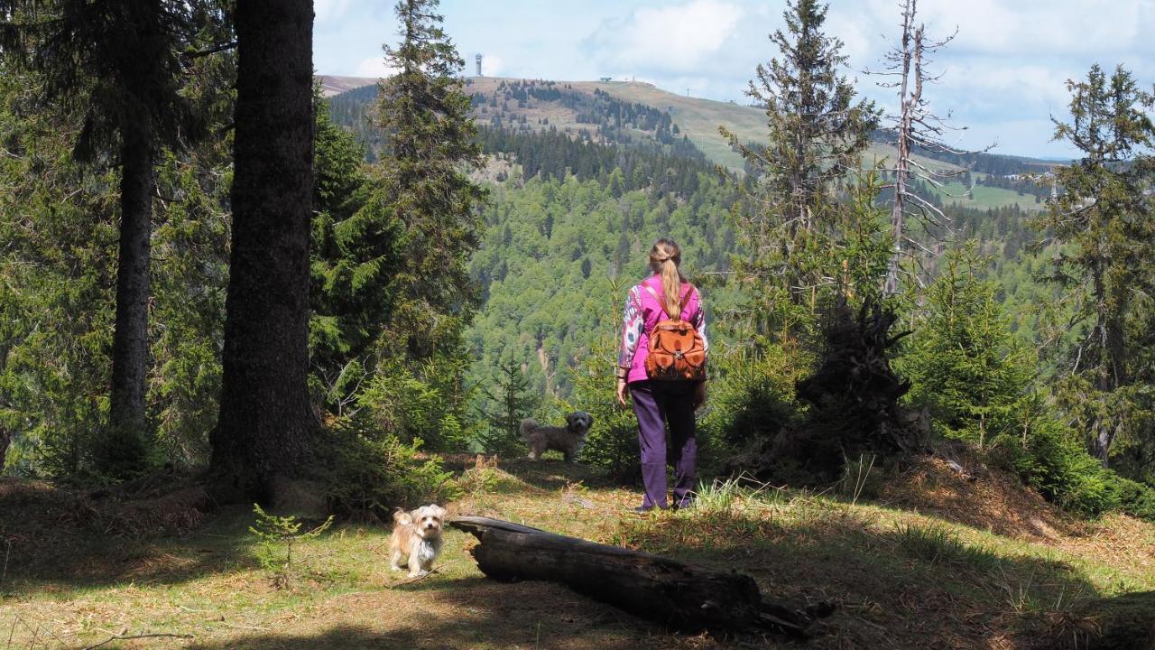 B1 Albmatte-Fewo Sauna, Hallenbad Aussenbecken Massagen Nebenan Menzenschwand Luaran gambar