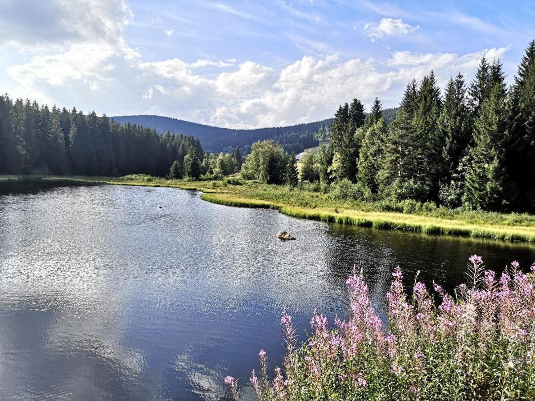 B1 Albmatte-Fewo Sauna, Hallenbad Aussenbecken Massagen Nebenan Menzenschwand Luaran gambar