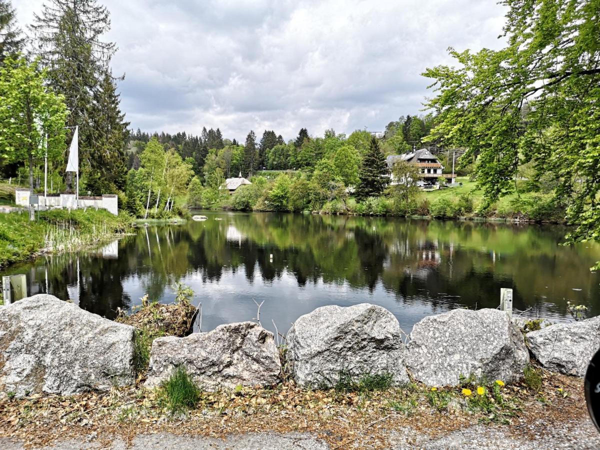B1 Albmatte-Fewo Sauna, Hallenbad Aussenbecken Massagen Nebenan Menzenschwand Luaran gambar