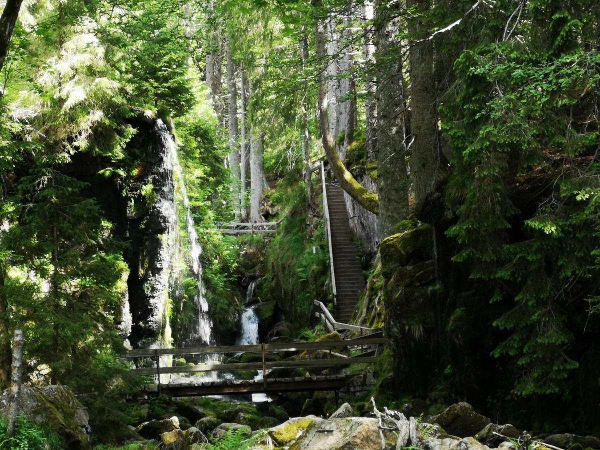 B1 Albmatte-Fewo Sauna, Hallenbad Aussenbecken Massagen Nebenan Menzenschwand Luaran gambar