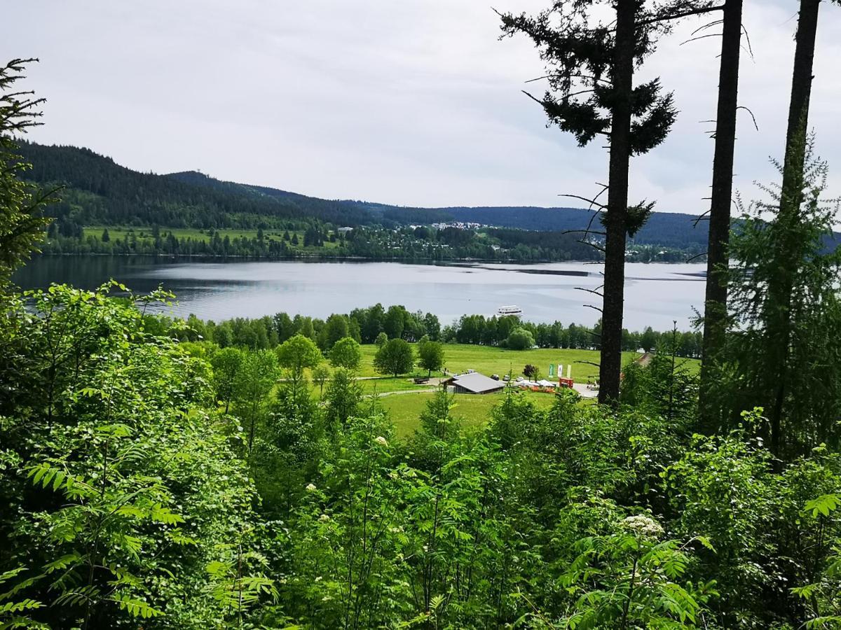B1 Albmatte-Fewo Sauna, Hallenbad Aussenbecken Massagen Nebenan Menzenschwand Luaran gambar