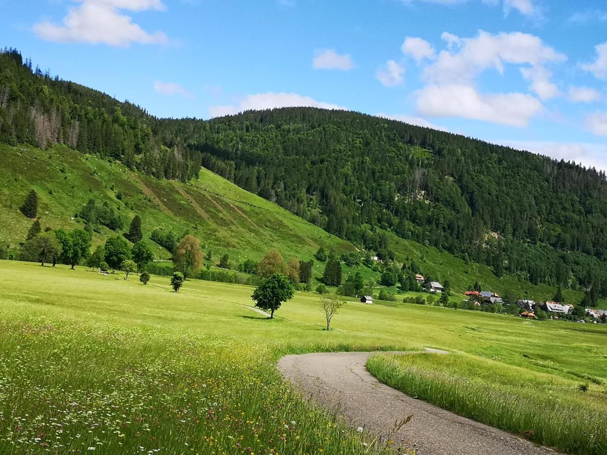 B1 Albmatte-Fewo Sauna, Hallenbad Aussenbecken Massagen Nebenan Menzenschwand Luaran gambar