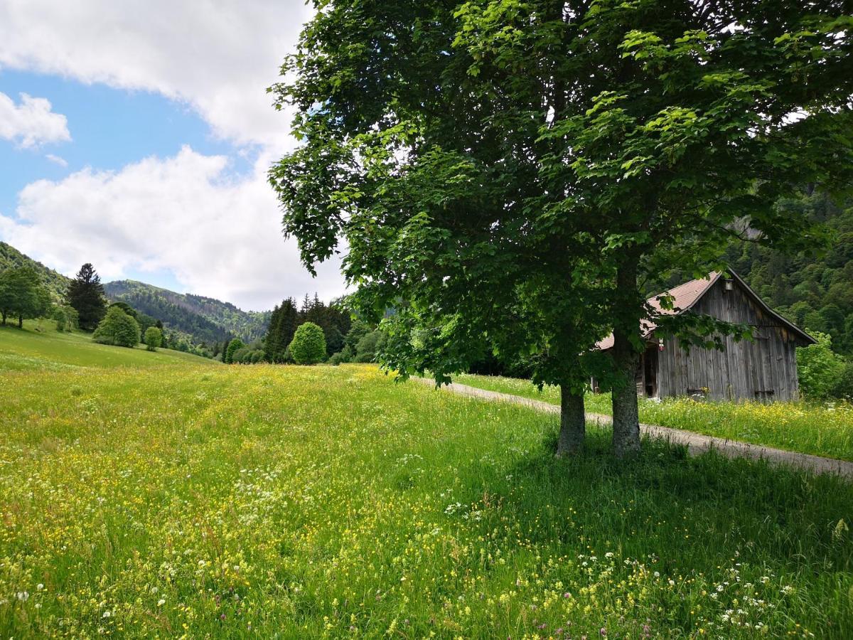 B1 Albmatte-Fewo Sauna, Hallenbad Aussenbecken Massagen Nebenan Menzenschwand Luaran gambar