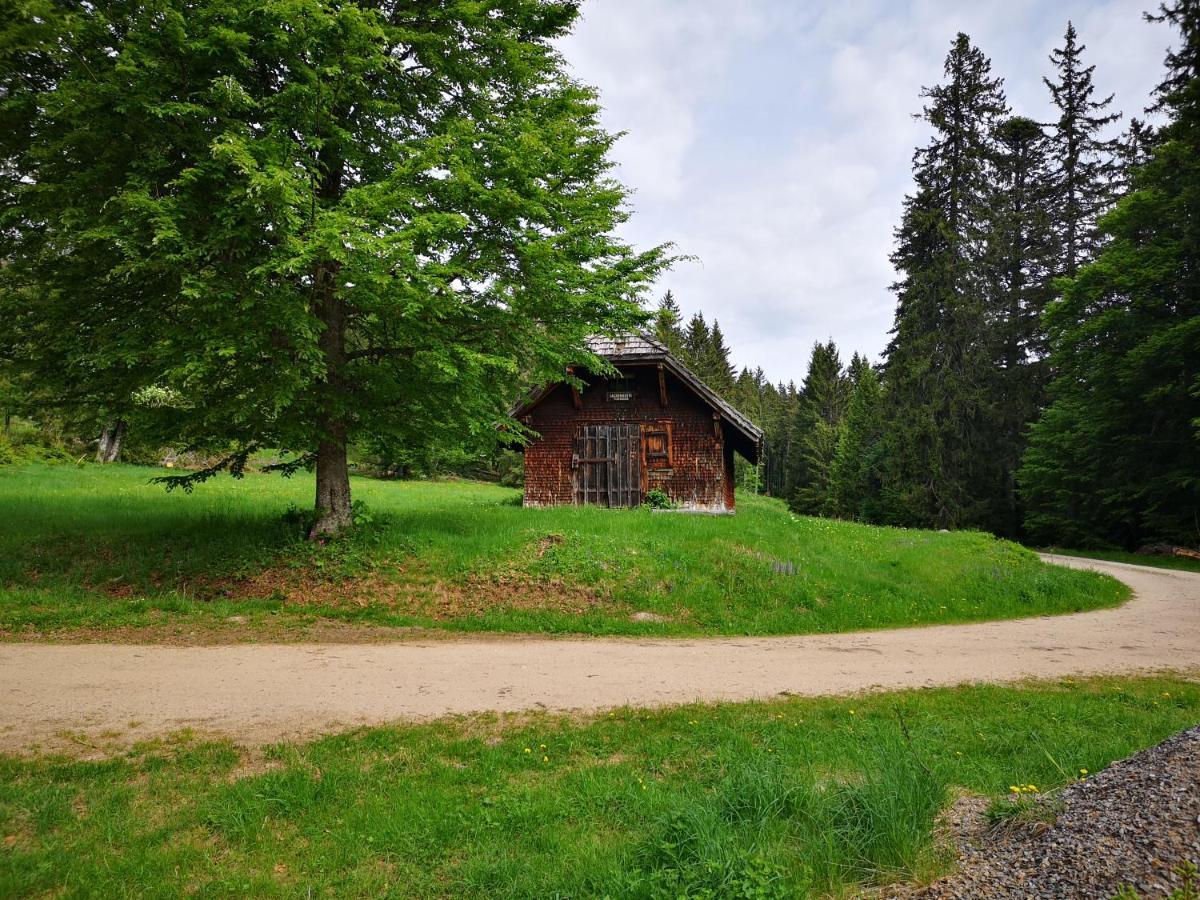 B1 Albmatte-Fewo Sauna, Hallenbad Aussenbecken Massagen Nebenan Menzenschwand Luaran gambar