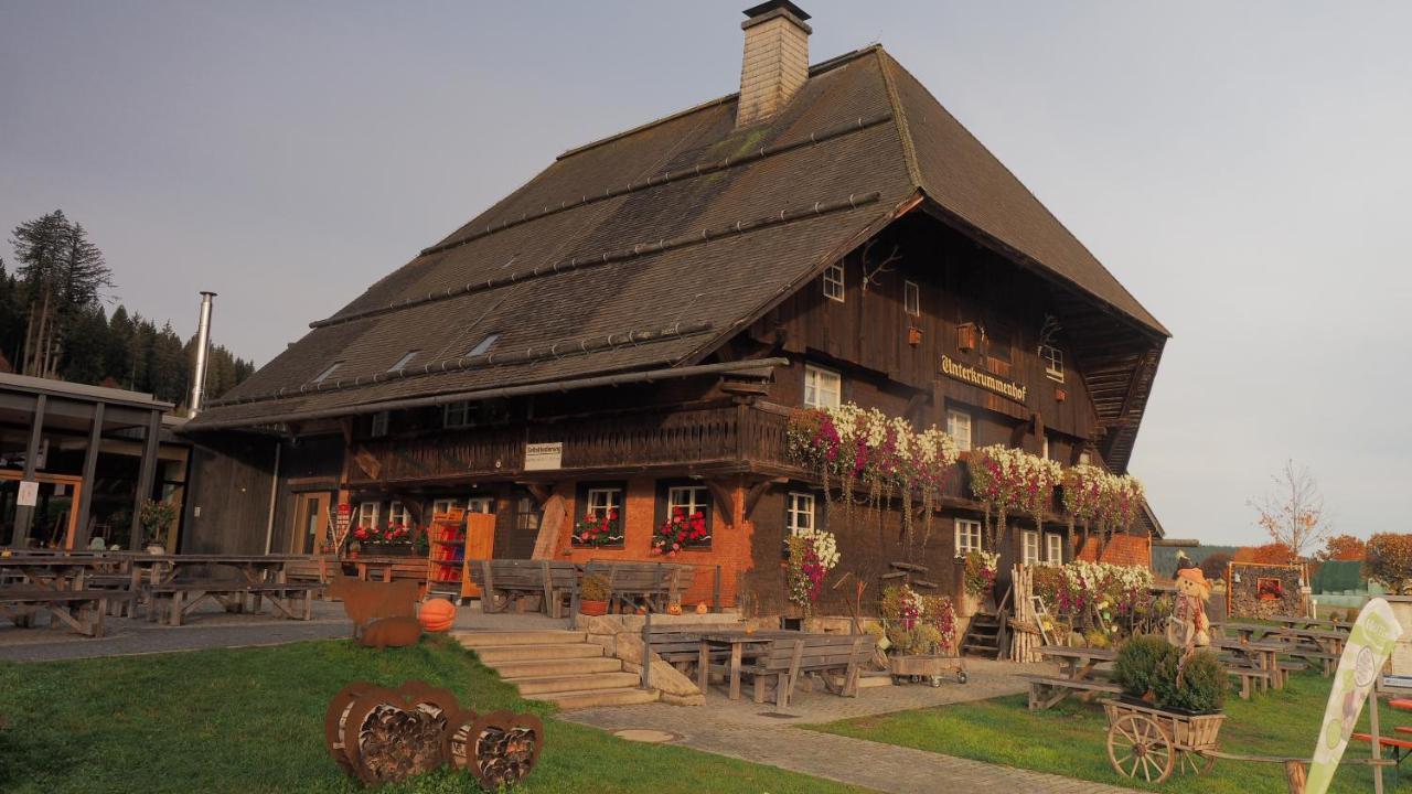 B1 Albmatte-Fewo Sauna, Hallenbad Aussenbecken Massagen Nebenan Menzenschwand Luaran gambar