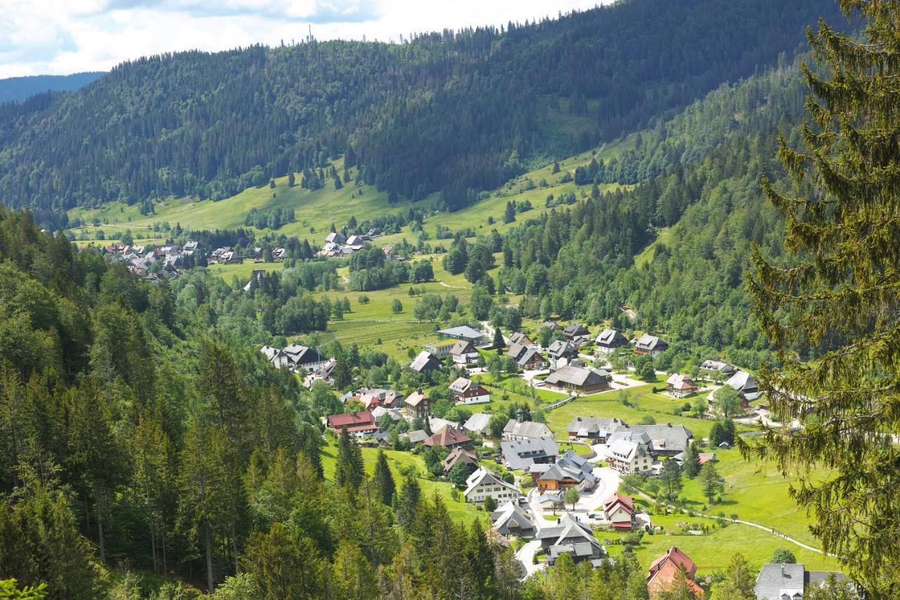 B1 Albmatte-Fewo Sauna, Hallenbad Aussenbecken Massagen Nebenan Menzenschwand Luaran gambar