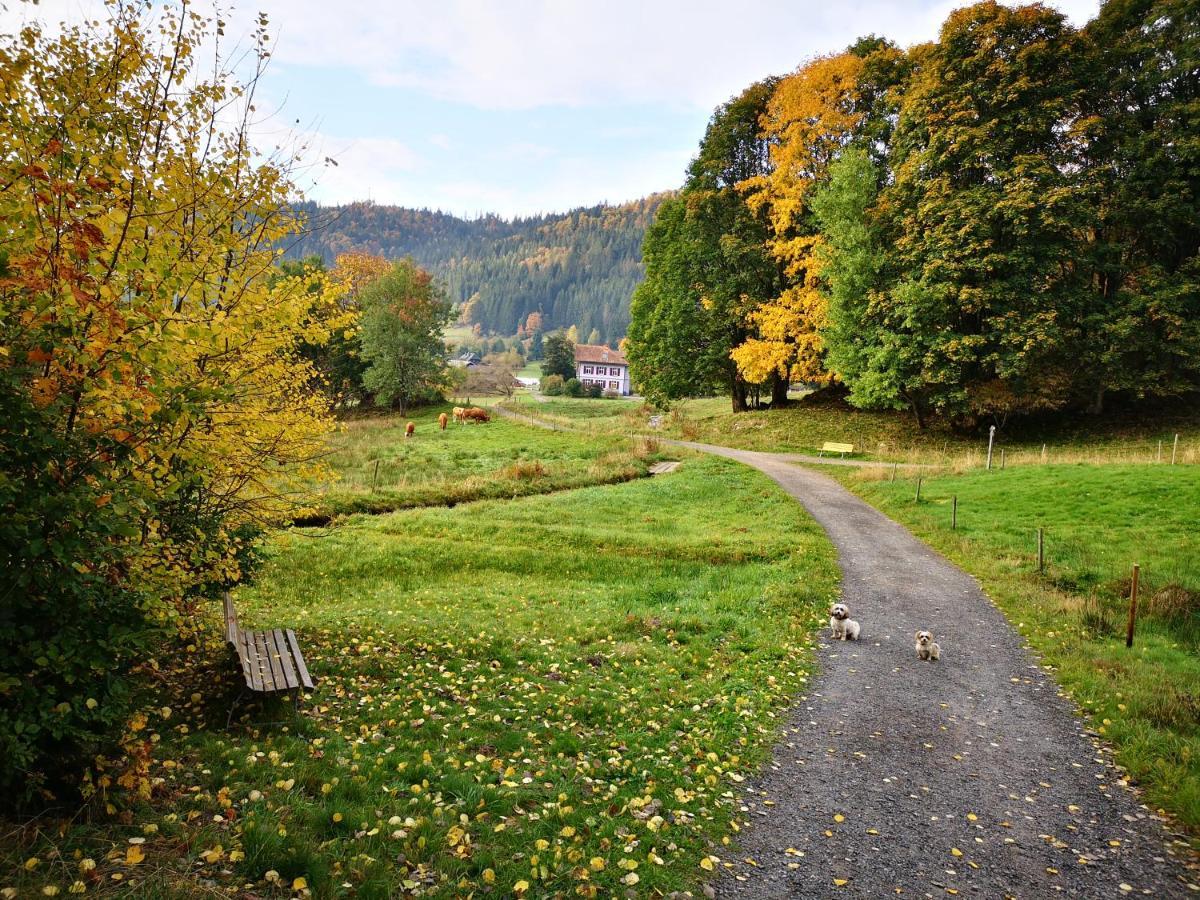 B1 Albmatte-Fewo Sauna, Hallenbad Aussenbecken Massagen Nebenan Menzenschwand Luaran gambar