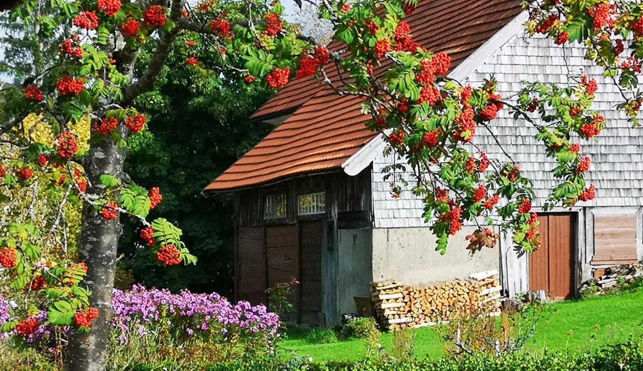 B1 Albmatte-Fewo Sauna, Hallenbad Aussenbecken Massagen Nebenan Menzenschwand Luaran gambar