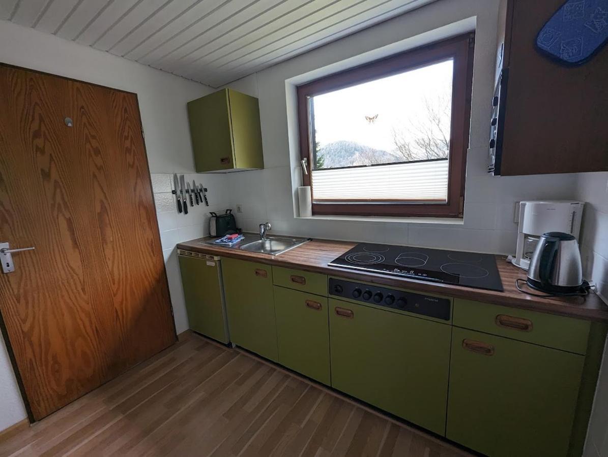 B1 Albmatte-Fewo Sauna, Hallenbad Aussenbecken Massagen Nebenan Menzenschwand Luaran gambar