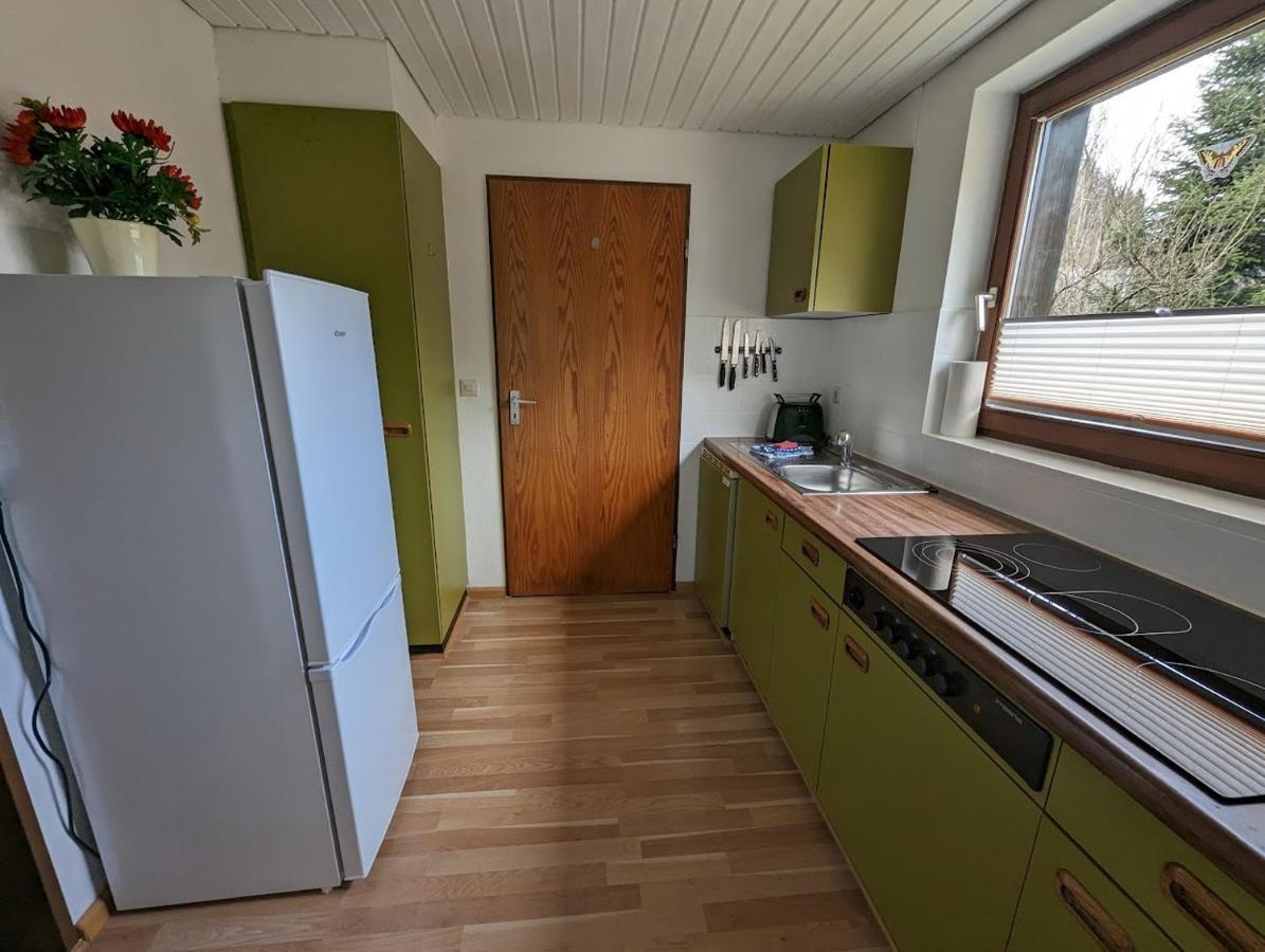 B1 Albmatte-Fewo Sauna, Hallenbad Aussenbecken Massagen Nebenan Menzenschwand Luaran gambar