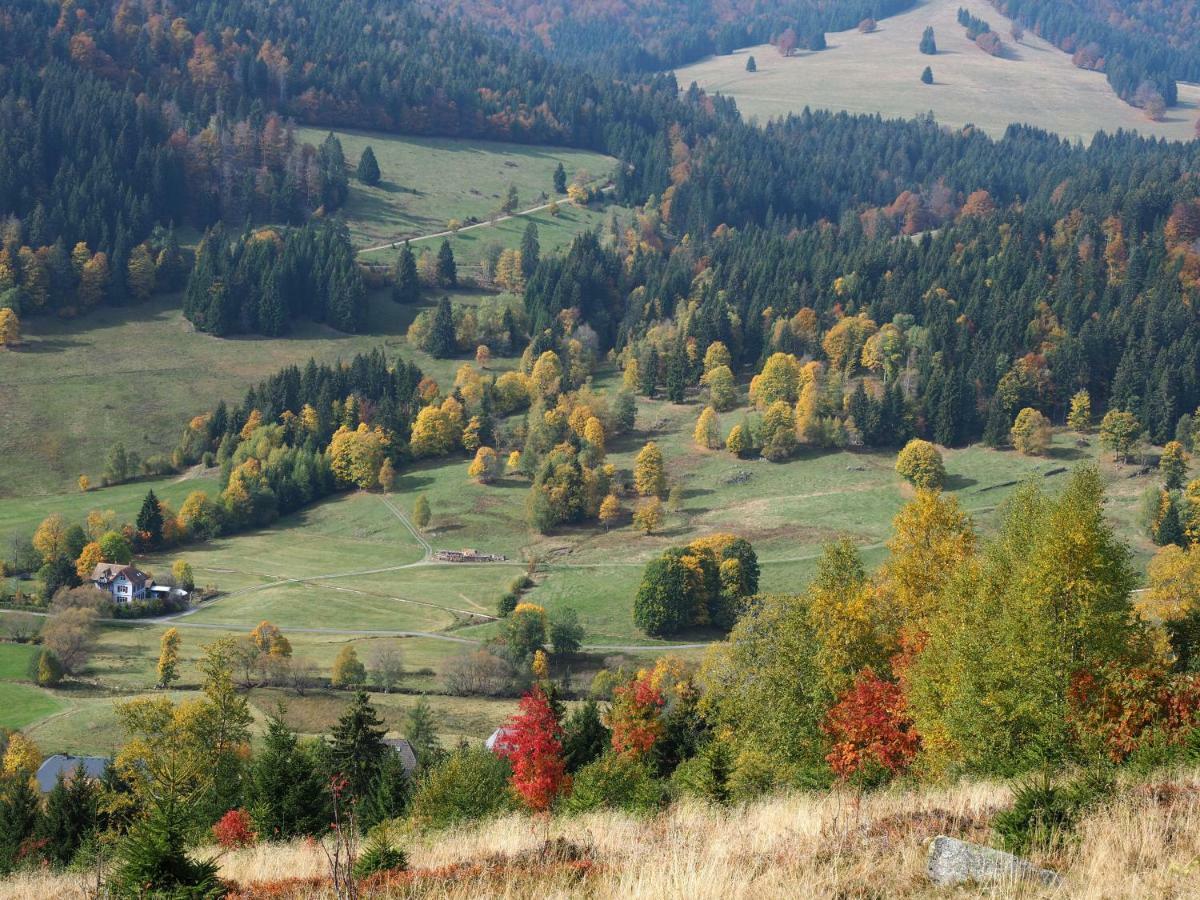 B1 Albmatte-Fewo Sauna, Hallenbad Aussenbecken Massagen Nebenan Menzenschwand Luaran gambar