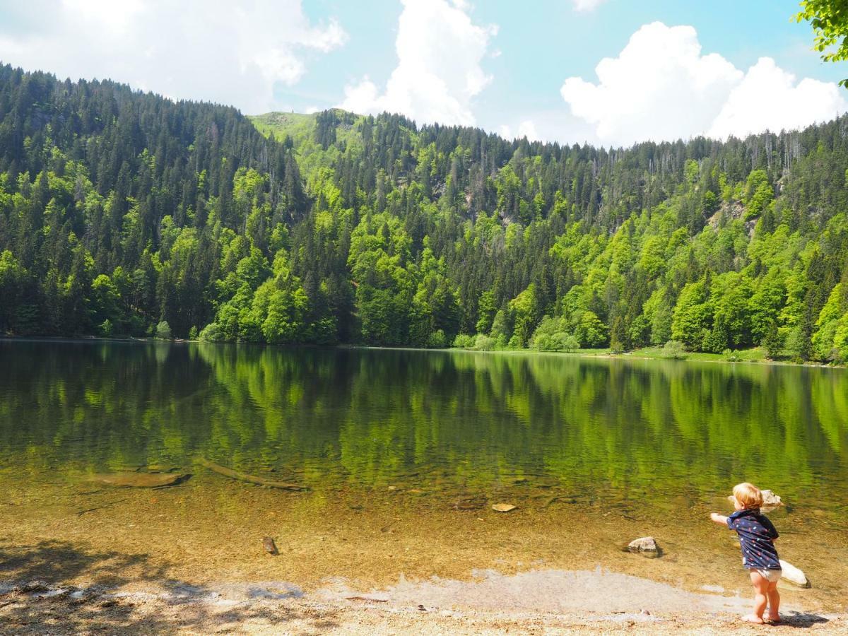 B1 Albmatte-Fewo Sauna, Hallenbad Aussenbecken Massagen Nebenan Menzenschwand Luaran gambar