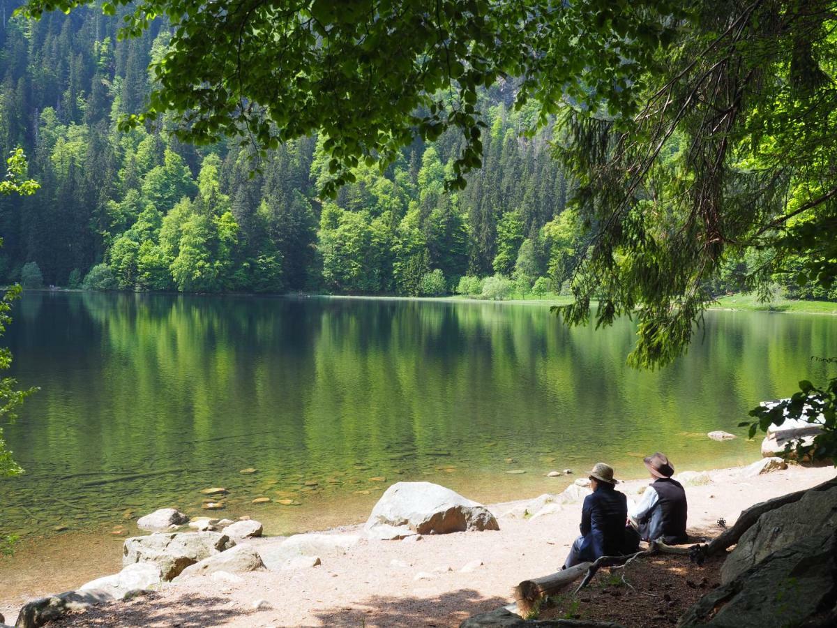 B1 Albmatte-Fewo Sauna, Hallenbad Aussenbecken Massagen Nebenan Menzenschwand Luaran gambar