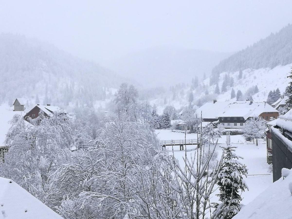 B1 Albmatte-Fewo Sauna, Hallenbad Aussenbecken Massagen Nebenan Menzenschwand Luaran gambar