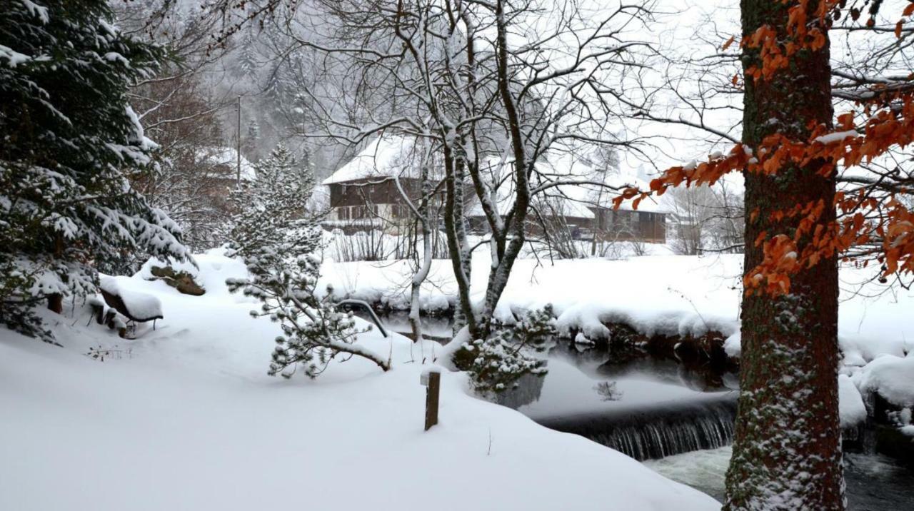 B1 Albmatte-Fewo Sauna, Hallenbad Aussenbecken Massagen Nebenan Menzenschwand Luaran gambar